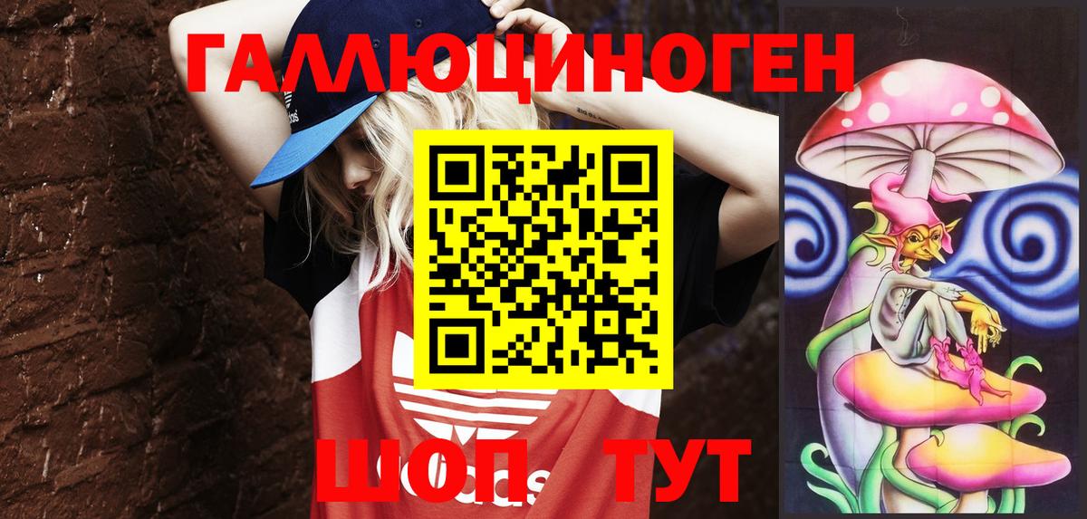 Псилоцибиновые грибы Psilocybine cubensis Ухта