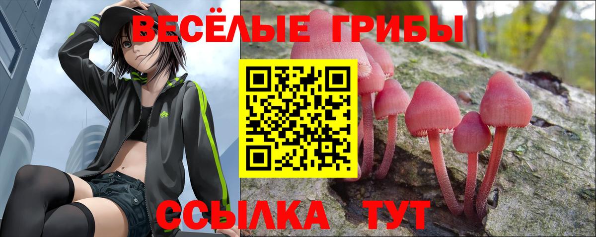 Ухта  Псилоцибиновые грибы GOLDEN TEACHER  Вход с VPN  Псилоцибиновые грибы прущие грибы 